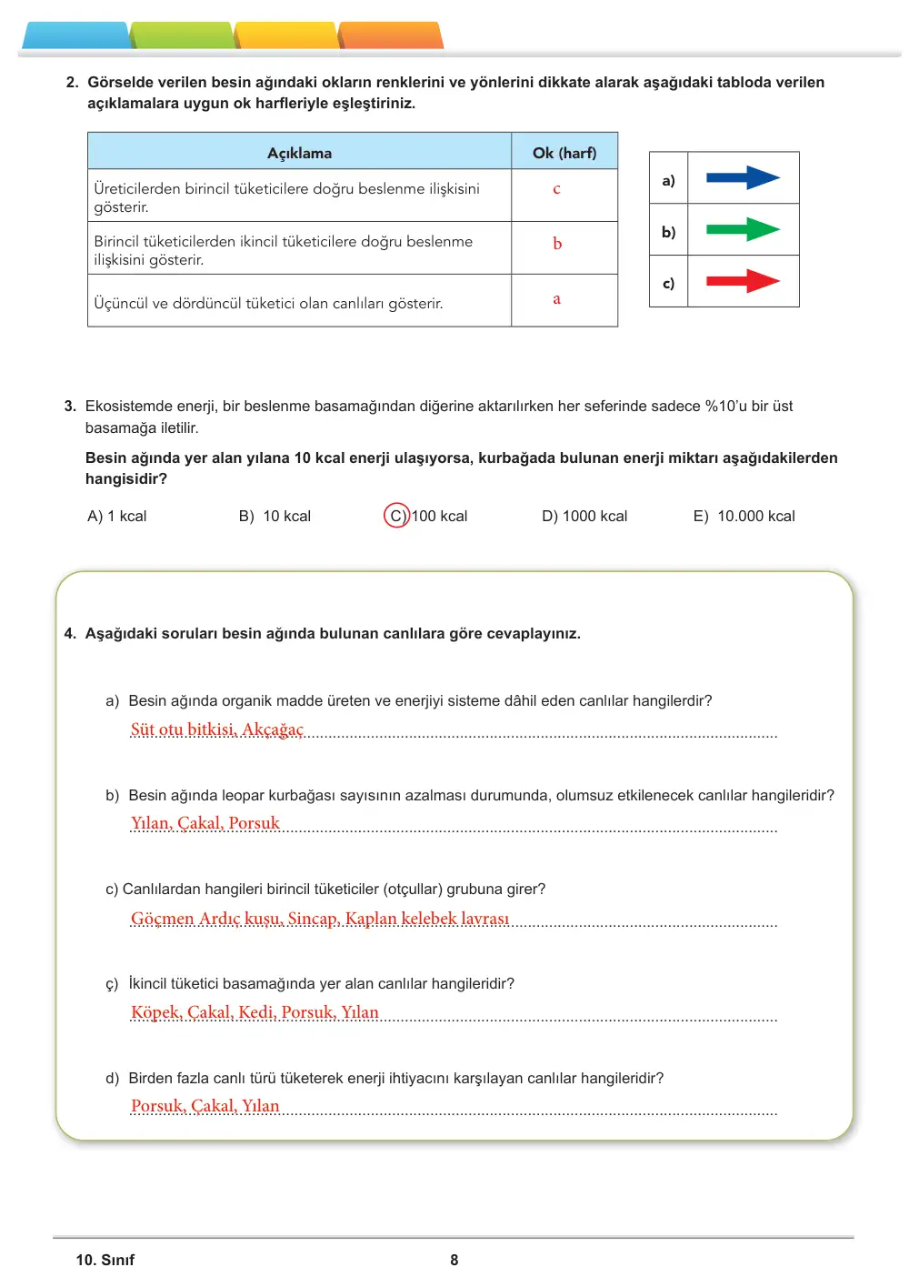 10. Sınıf Biyoloji Öğrenme Etkinlikleri Seti 1 (2025-2026) cevap anahtarı sayfa 9