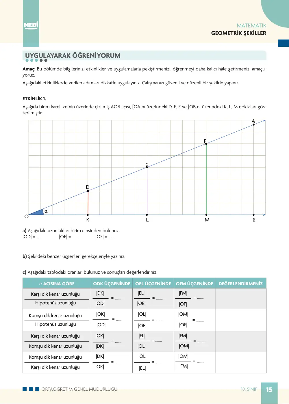 10. Sınıf Matematik Bireysel Öğrenme Etkinlikleri (2026-2027) sayfa 13