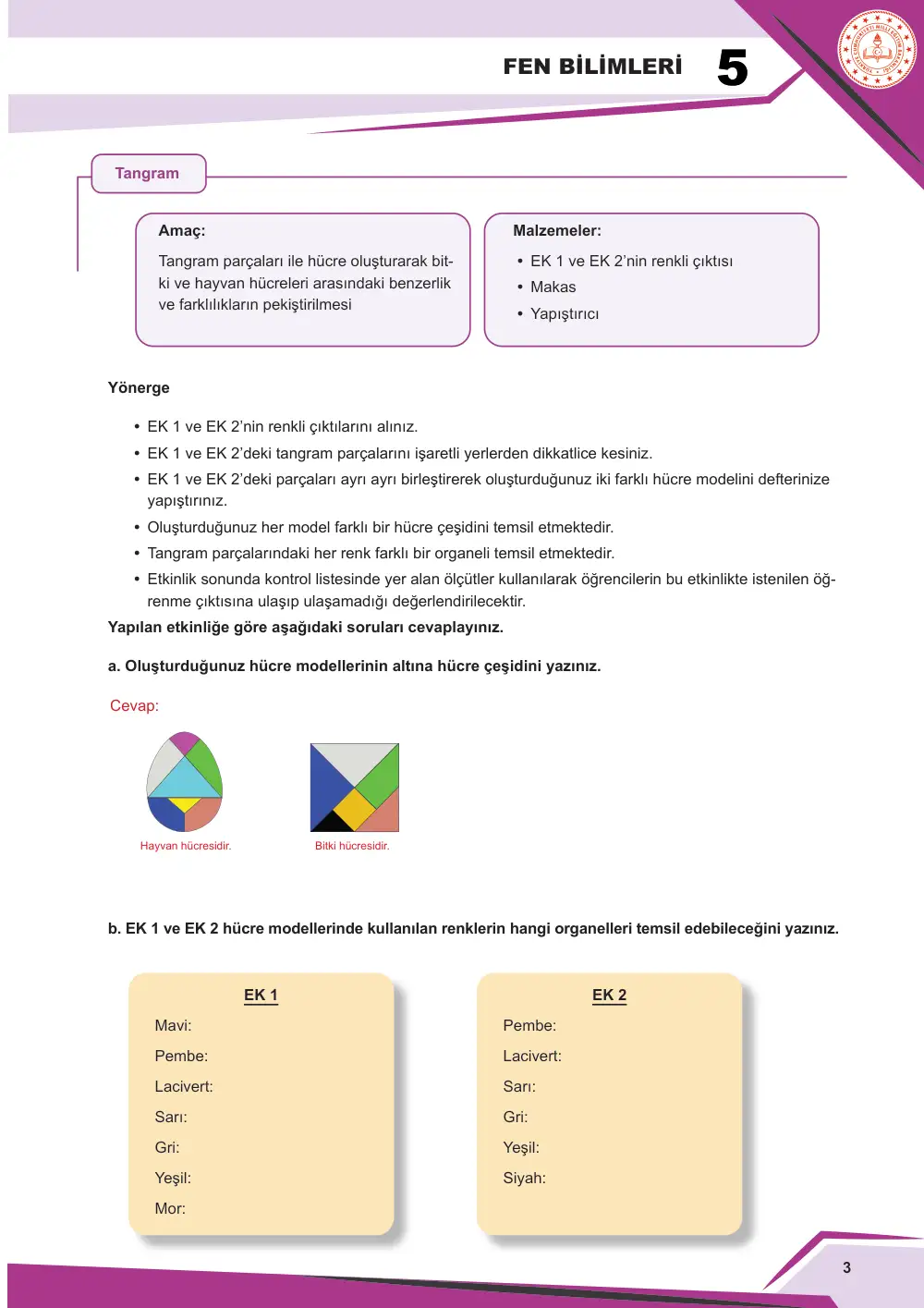 5. Sınıf Fen Bilimleri Çalışma Kâğıdı: FB.5.3.1.1 Bitki ve hayvan hücrelerini temel kısımları ve özellikleri açısından karşılaştırabilme cevap anahtarı sayfa 3