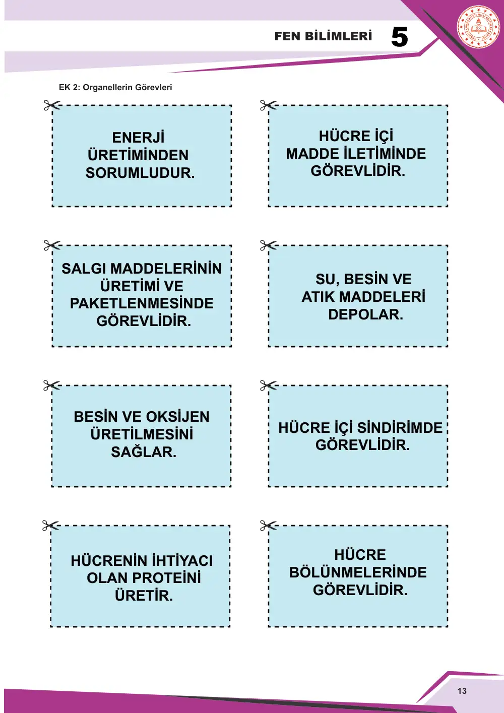 5. Sınıf Fen Bilimleri Çalışma Kâğıdı: FB.5.3.1.1 Bitki ve hayvan hücrelerini temel kısımları ve özellikleri açısından karşılaştırabilme sayfa 13