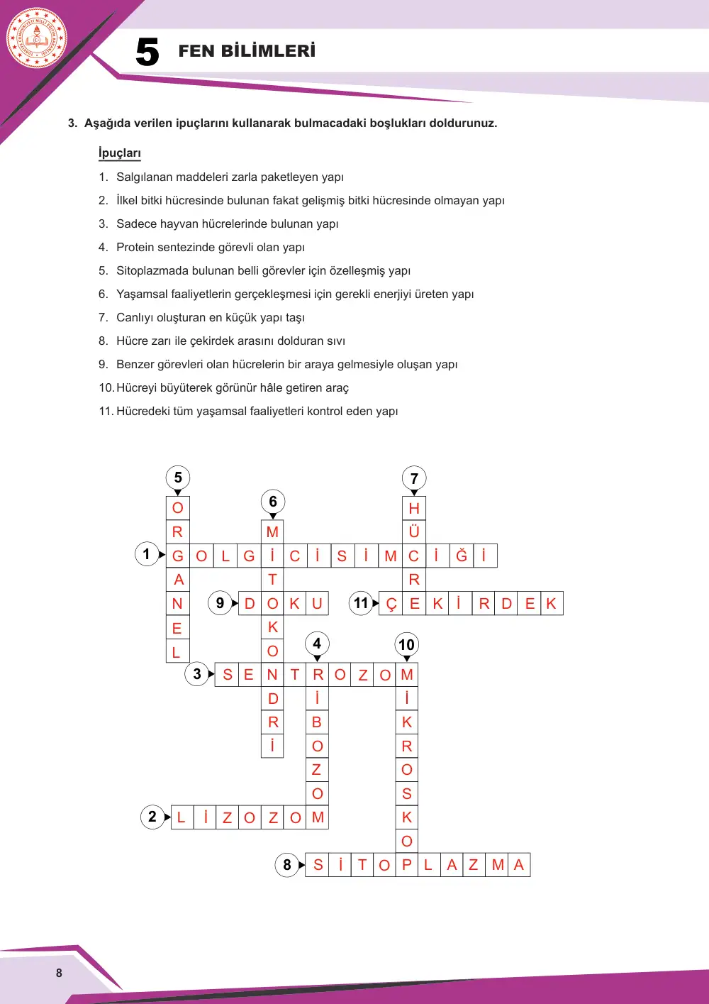 5. Sınıf Fen Bilimleri Çalışma Kâğıdı: FB.5.3.1.2 Hücre-doku-organ-sistem-organizma kavramlarını yapılandırabilme cevap anahtarı sayfa 8