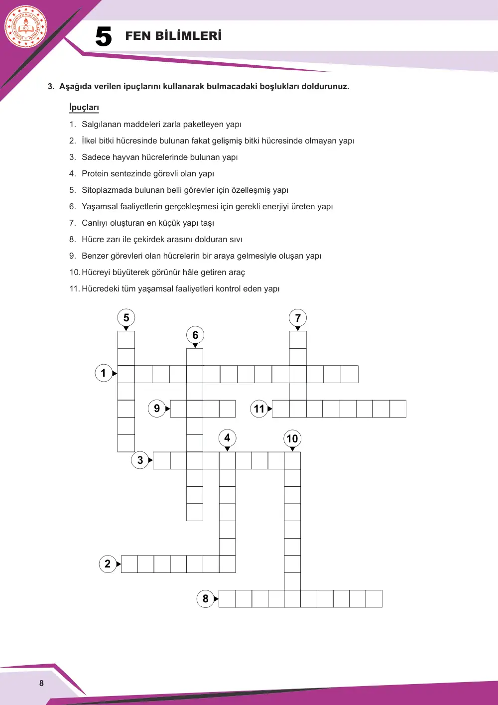 5. Sınıf Fen Bilimleri Çalışma Kâğıdı: FB.5.3.1.2 Hücre-doku-organ-sistem-organizma kavramlarını yapılandırabilme sayfa 8
