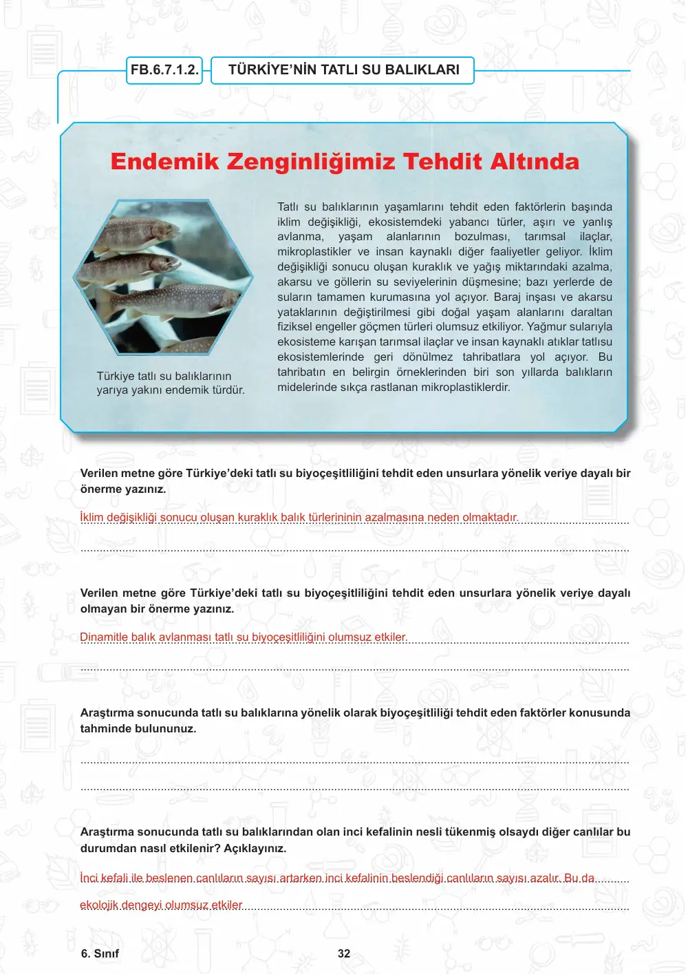 6. Sınıf Fen Bilimleri Öğrenme Etkinlikleri Seti 2 (2025-2026) cevap anahtarı sayfa 33