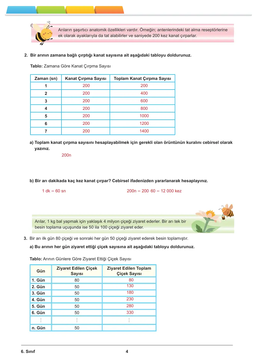 6. Sınıf Matematik Öğrenme Etkinlikleri Seti 2 (2025-2026) cevap anahtarı sayfa 6