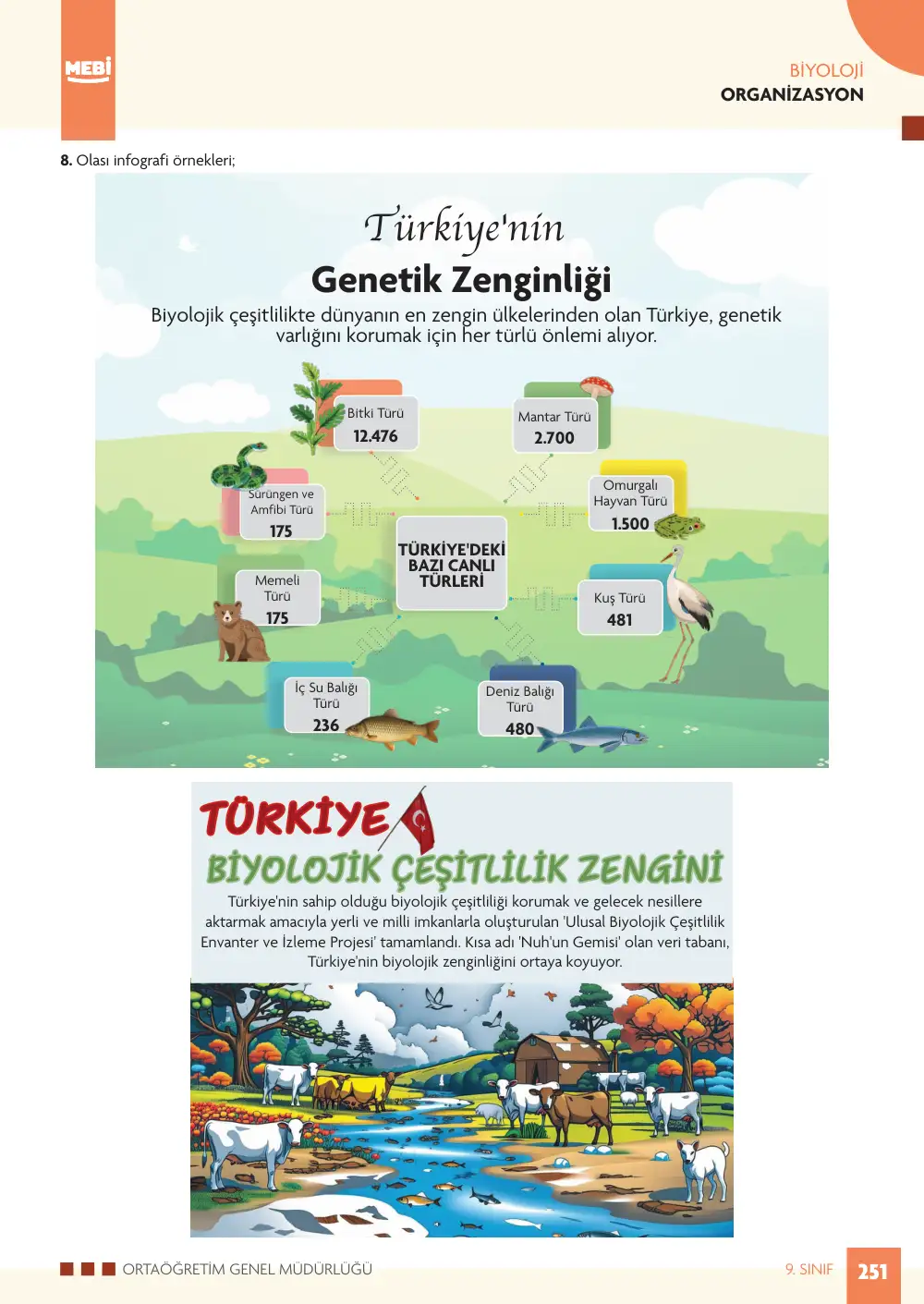 9. Sınıf Biyoloji Bireysel Öğrenme Etkinlikleri (2026-2027) sayfa 249