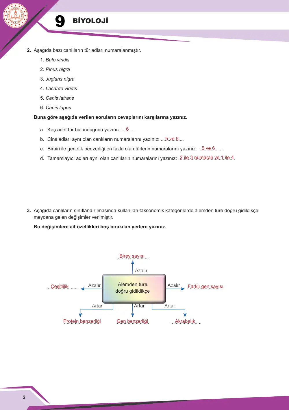 9. Sınıf Biyoloji Çalışma Kâğıdı: BİY.9.1.5 Canlıları sınıflandırabilme cevap anahtarı sayfa 3