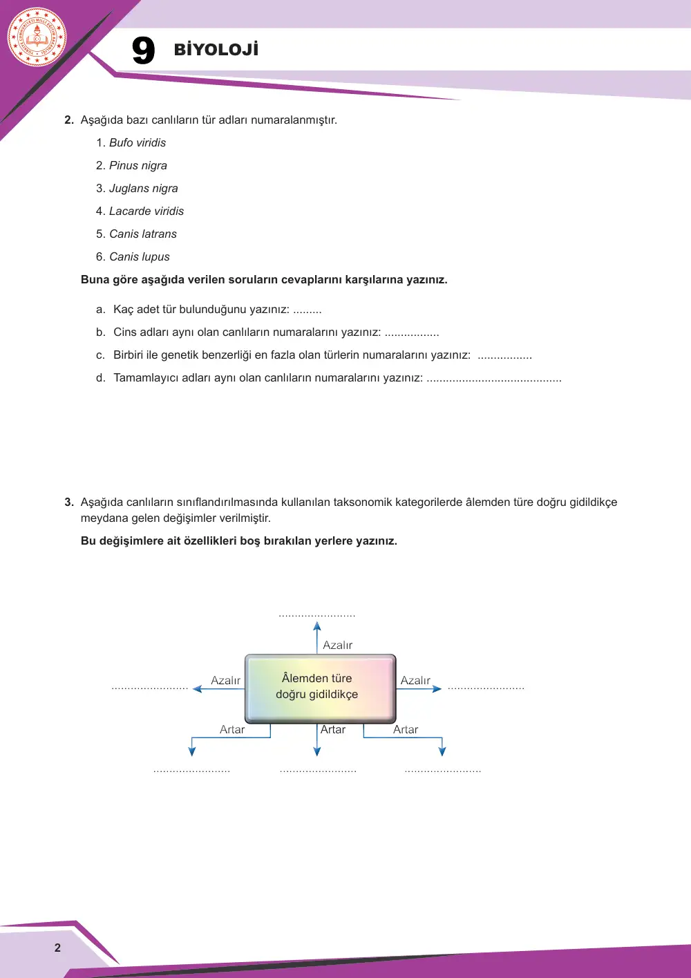 9. Sınıf Biyoloji Çalışma Kâğıdı: BİY.9.1.5 Canlıları sınıflandırabilme sayfa 3