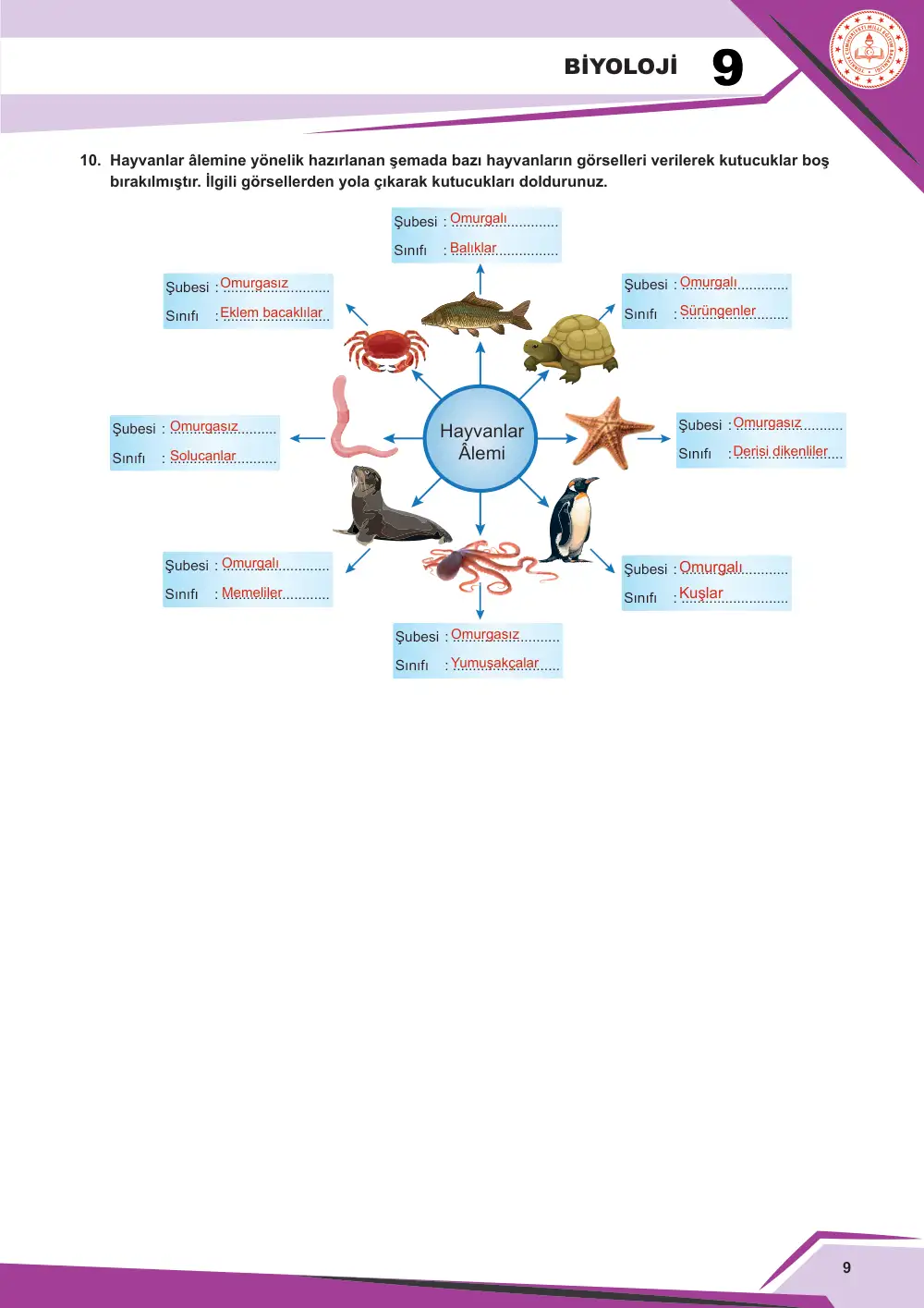 9. Sınıf Biyoloji Çalışma Kâğıdı: BİY.9.1.6 Üç üst âlem (domain) sisteminde yer alan canlıların özellikleri ile ilgili çıkarım yapabilme cevap anahtarı sayfa 10