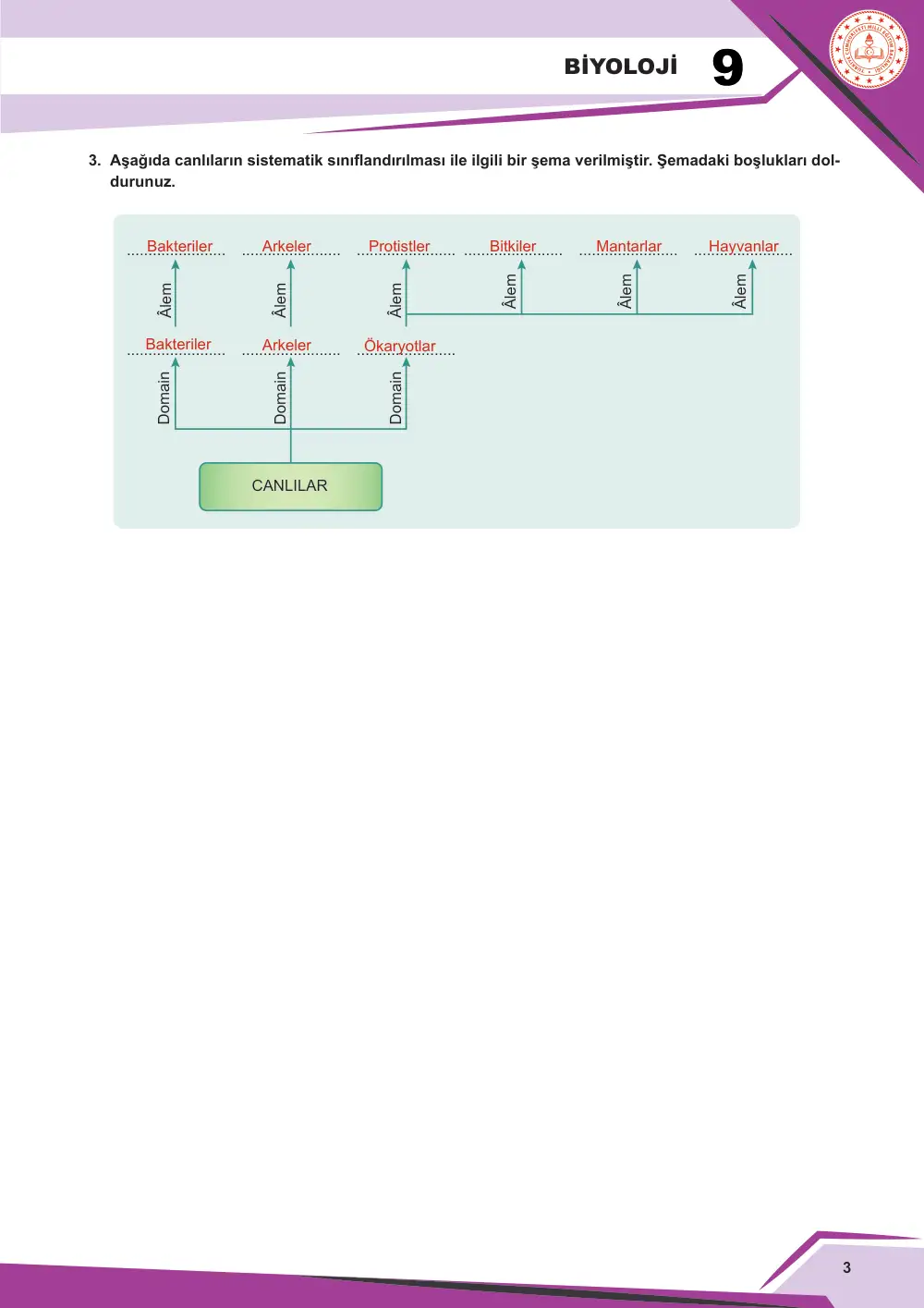 9. Sınıf Biyoloji Çalışma Kâğıdı: BİY.9.1.6 Üç üst âlem (domain) sisteminde yer alan canlıların özellikleri ile ilgili çıkarım yapabilme cevap anahtarı sayfa 4
