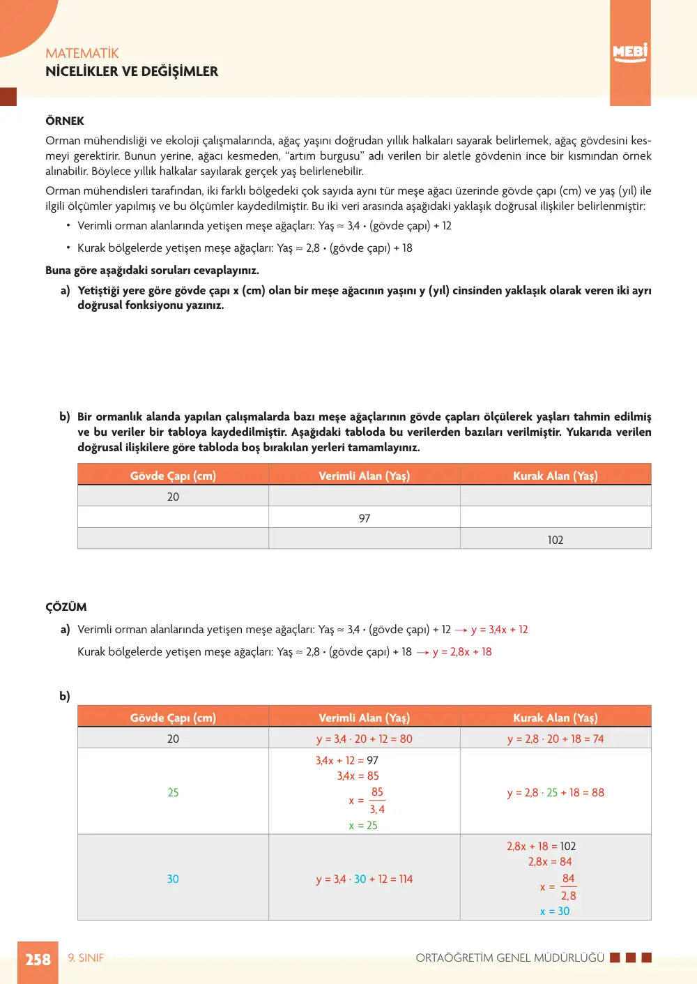9. Sınıf Matematik Bireysel Öğrenme Etkinlikleri (2026-2027) sayfa 256