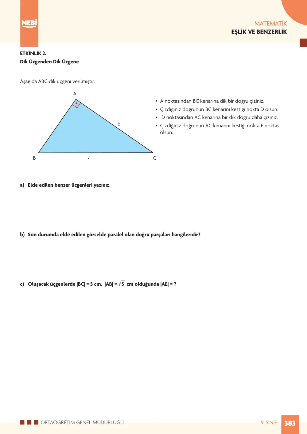 9. Sınıf Matematik Bireysel Öğrenme Etkinlikleri (2026-2027) sayfa 381