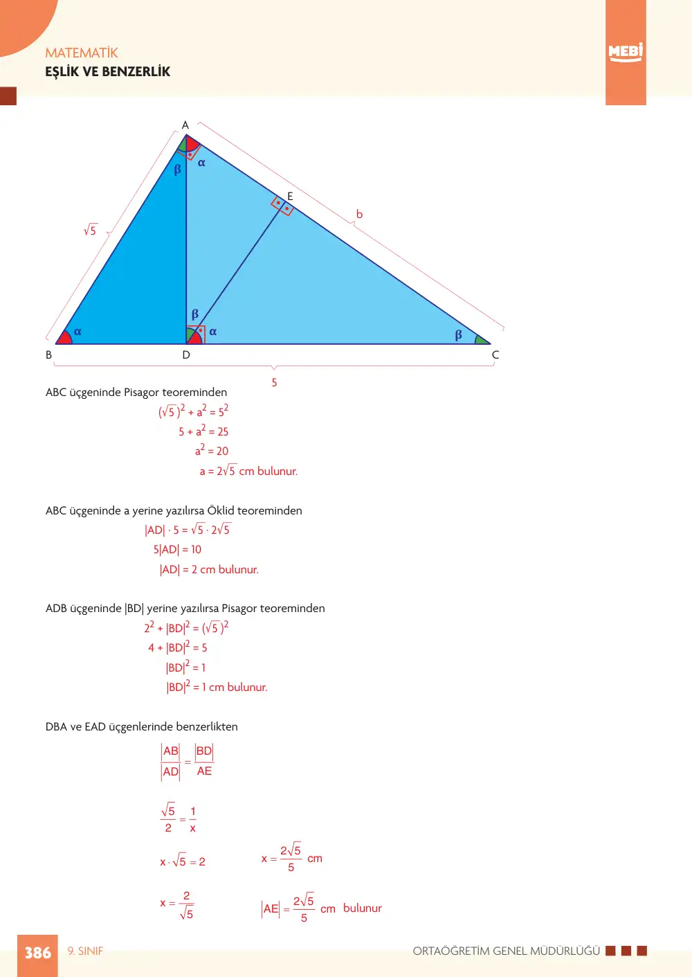 9. Sınıf Matematik Bireysel Öğrenme Etkinlikleri (2026-2027) sayfa 384