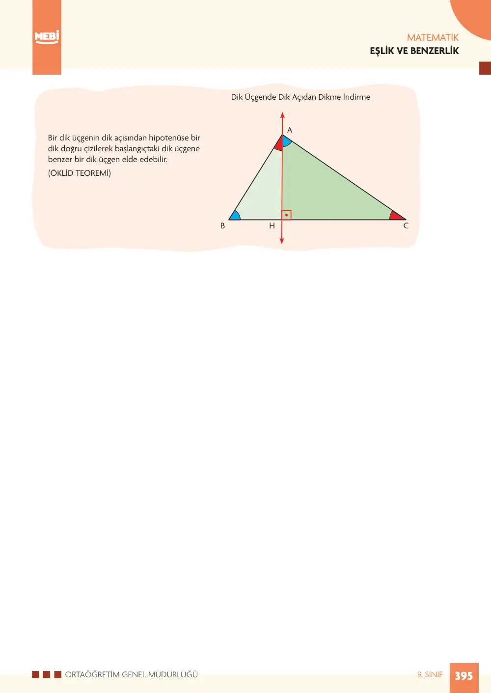 9. Sınıf Matematik Bireysel Öğrenme Etkinlikleri (2026-2027) sayfa 393