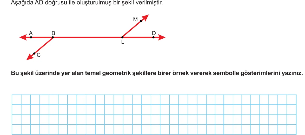 MEB sorusu