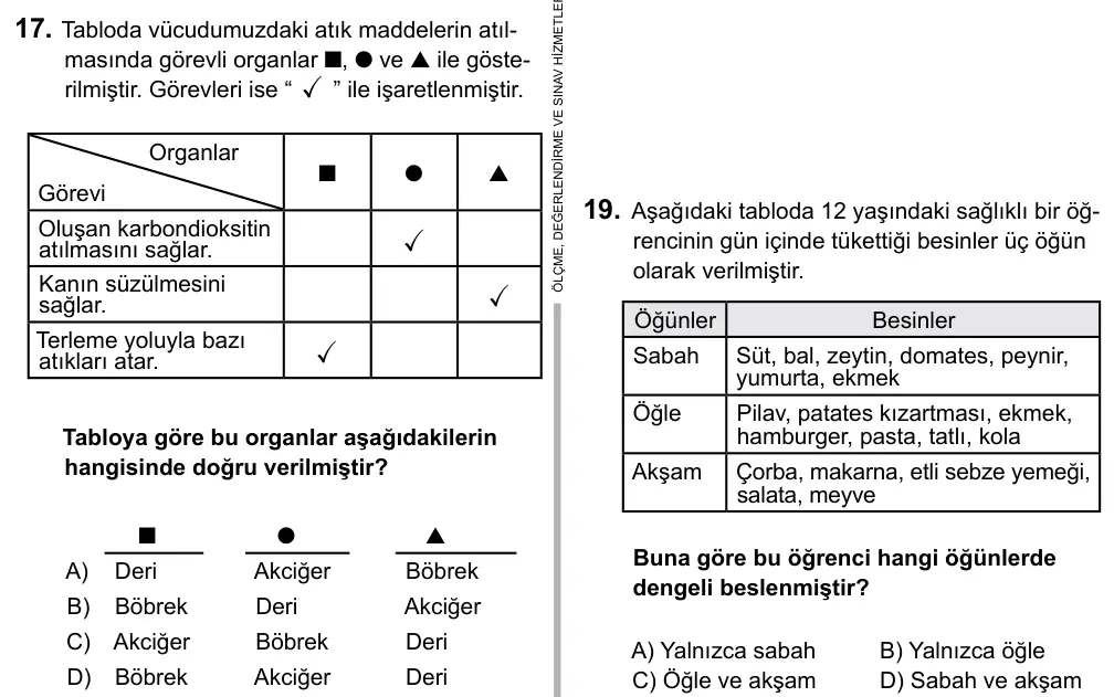 5. Sınıf Fen Bilimleri 2015 İOKBS Bursluluk Sınavı 17. Soru görseli