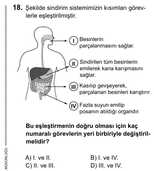 5. Sınıf Fen Bilimleri 2015 İOKBS Bursluluk Sınavı 18. Soru görseli