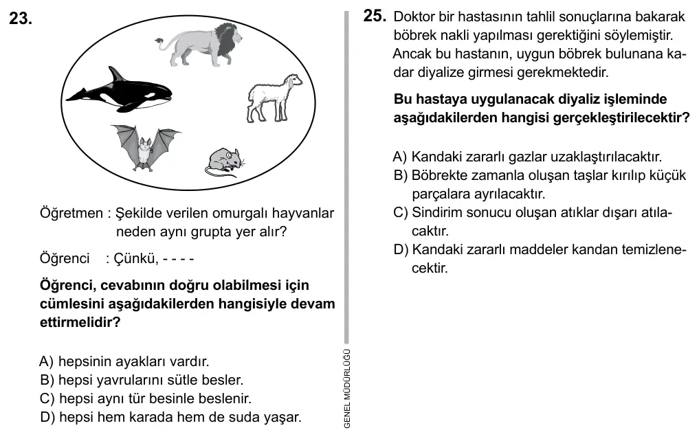 5. Sınıf Fen Bilimleri 2015 İOKBS Bursluluk Sınavı 23. Soru görseli