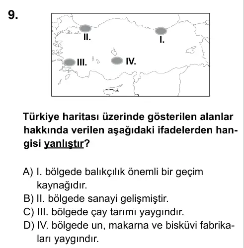 5. Sınıf Sosyal Bilgiler 2015 İOKBS Bursluluk Sınavı 9. Soru görseli