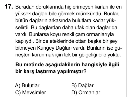 5. Sınıf Türkçe 2015 İOKBS Bursluluk Sınavı 17. Soru görseli