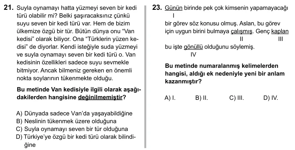 5. Sınıf Türkçe 2015 İOKBS Bursluluk Sınavı 21. Soru görseli