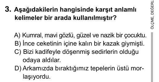 5. Sınıf Türkçe 2015 İOKBS Bursluluk Sınavı 3. Soru görseli