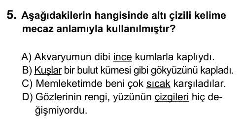 5. Sınıf Türkçe 2015 İOKBS Bursluluk Sınavı 5. Soru görseli