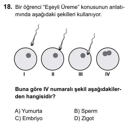 6. Sınıf Fen Bilimleri 2015 İOKBS Bursluluk Sınavı 18. Soru görseli