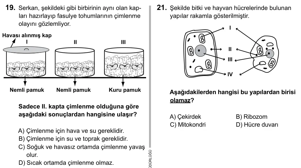 6. Sınıf Fen Bilimleri 2015 İOKBS Bursluluk Sınavı 19. Soru görseli