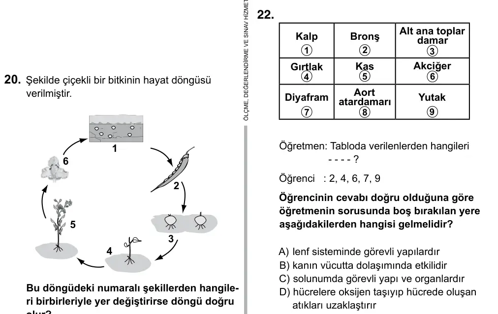 6. Sınıf Fen Bilimleri 2015 İOKBS Bursluluk Sınavı 22. Soru görseli