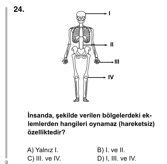 6. Sınıf Fen Bilimleri 2015 İOKBS Bursluluk Sınavı 24. Soru görseli