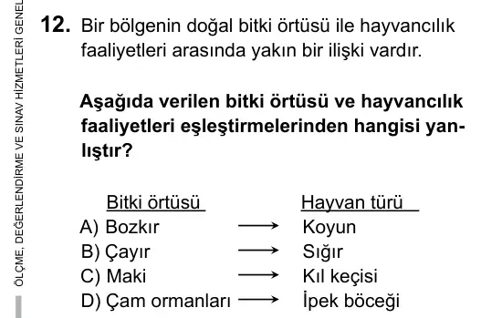 6. Sınıf Sosyal Bilgiler 2015 İOKBS Bursluluk Sınavı 12. Soru görseli
