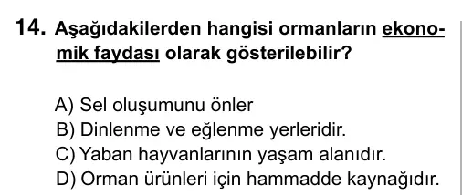 6. Sınıf Sosyal Bilgiler 2015 İOKBS Bursluluk Sınavı 14. Soru görseli