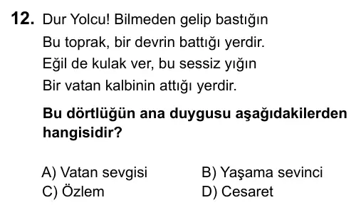 6. Sınıf Türkçe 2015 İOKBS Bursluluk Sınavı 12. Soru görseli