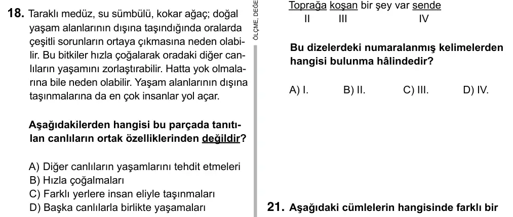 6. Sınıf Türkçe 2015 İOKBS Bursluluk Sınavı 18. Soru görseli