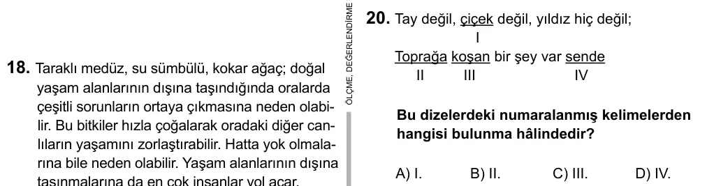 6. Sınıf Türkçe 2015 İOKBS Bursluluk Sınavı 20. Soru görseli