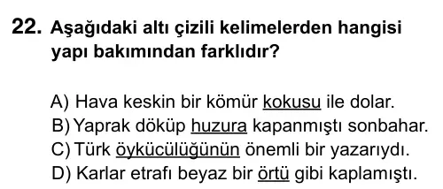 6. Sınıf Türkçe 2015 İOKBS Bursluluk Sınavı 22. Soru görseli