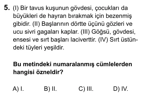 6. Sınıf Türkçe 2015 İOKBS Bursluluk Sınavı 5. Soru görseli