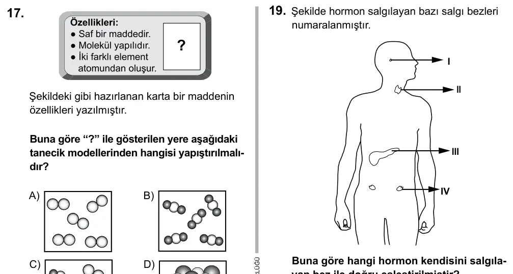 7. Sınıf Fen ve Teknoloji 2015 İOKBS Bursluluk Sınavı 17. Soru görseli