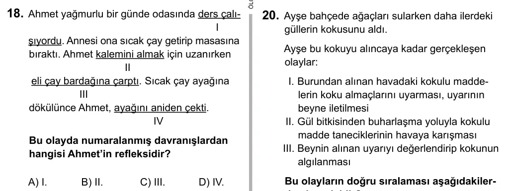 7. Sınıf Fen ve Teknoloji 2015 İOKBS Bursluluk Sınavı 18. Soru görseli