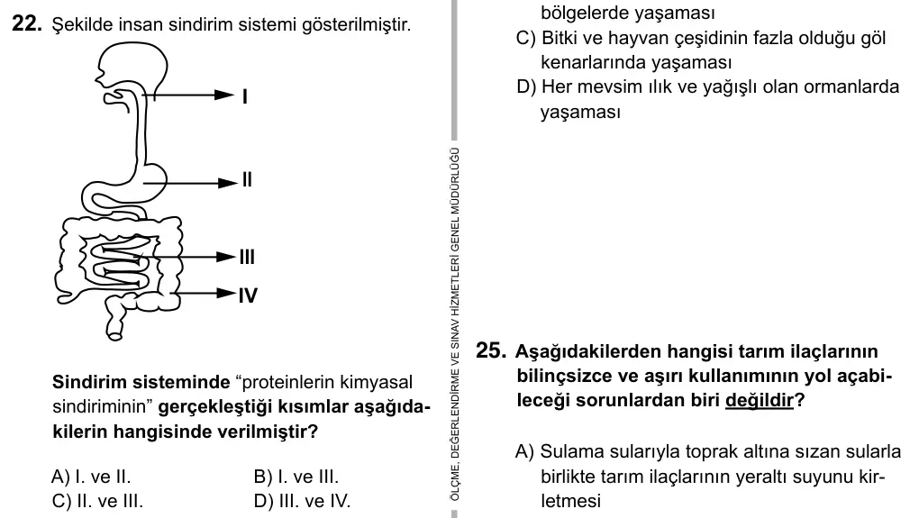 7. Sınıf Fen ve Teknoloji 2015 İOKBS Bursluluk Sınavı 22. Soru görseli