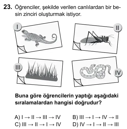 7. Sınıf Fen ve Teknoloji 2015 İOKBS Bursluluk Sınavı 23. Soru görseli
