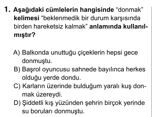 7. Sınıf Türkçe 2015 İOKBS Bursluluk Sınavı 1. Soru görseli