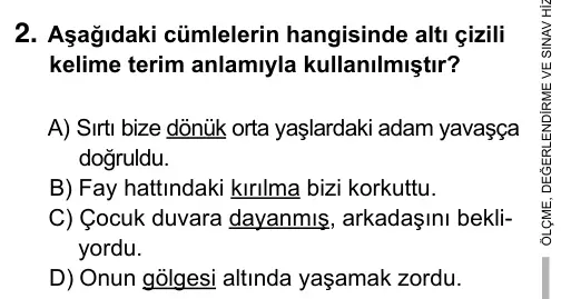 7. Sınıf Türkçe 2015 İOKBS Bursluluk Sınavı 2. Soru görseli
