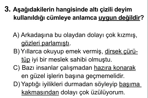 7. Sınıf Türkçe 2015 İOKBS Bursluluk Sınavı 3. Soru görseli
