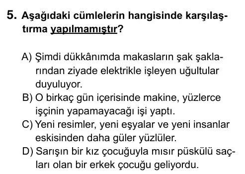 7. Sınıf Türkçe 2015 İOKBS Bursluluk Sınavı 5. Soru görseli