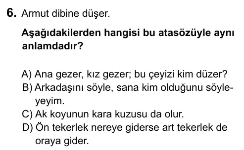 7. Sınıf Türkçe 2015 İOKBS Bursluluk Sınavı 6. Soru görseli