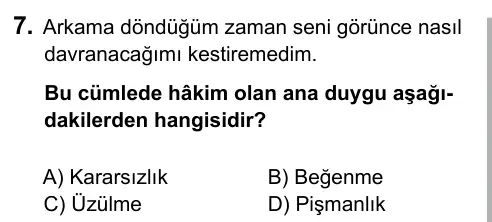 7. Sınıf Türkçe 2015 İOKBS Bursluluk Sınavı 7. Soru görseli