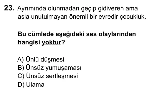 9, 10, 11. Sınıf Dil ve Anlatım 2015 İOKBS Bursluluk Sınavı 23. Soru görseli