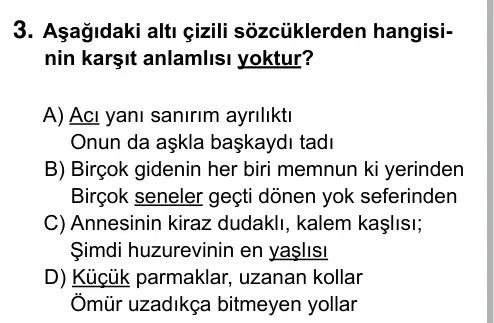 9, 10, 11. Sınıf Dil ve Anlatım 2015 İOKBS Bursluluk Sınavı 3. Soru görseli