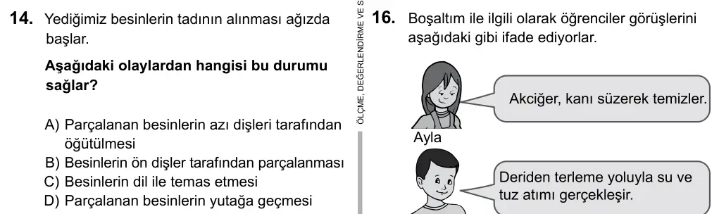 5. Sınıf Fen Bilimleri 2016 İOKBS Bursluluk Sınavı 14. Soru görseli